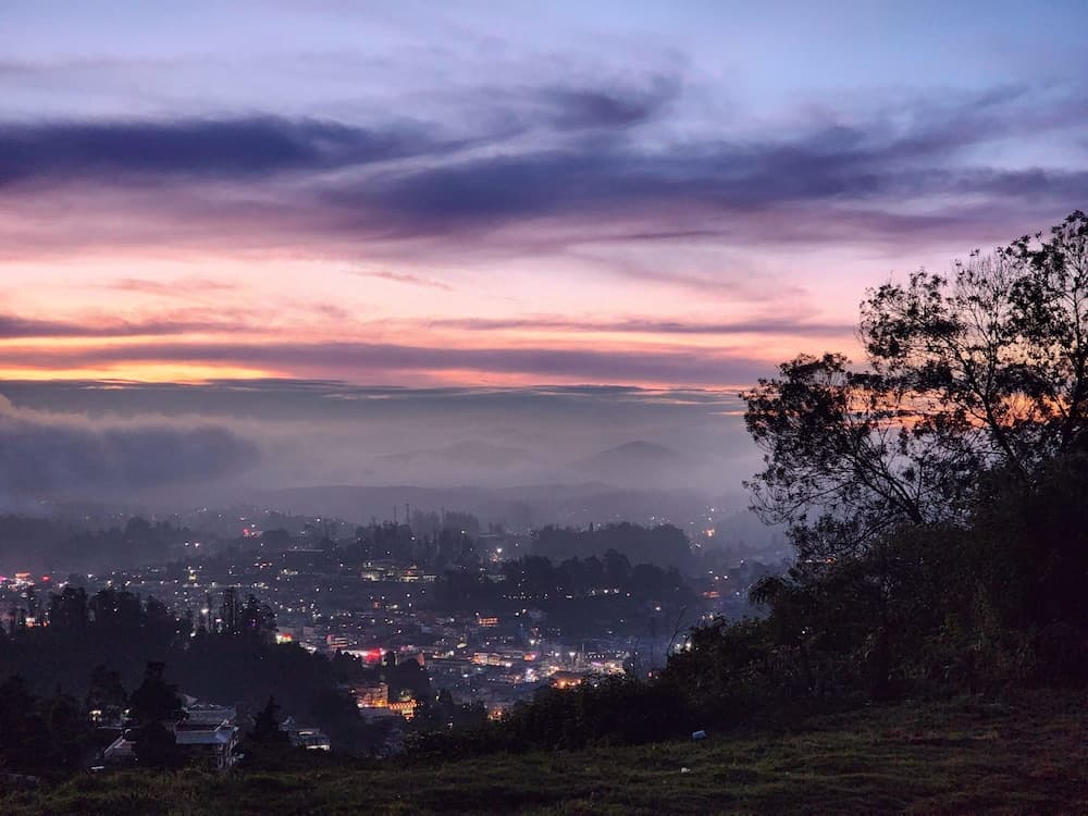 Songs of the Nilgiris