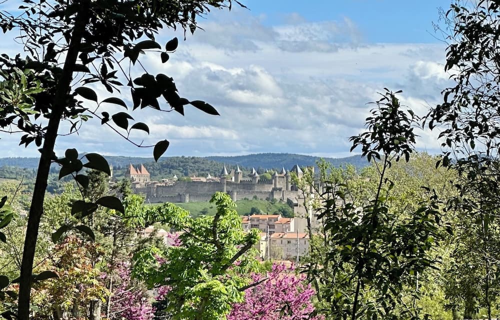 Chambre avec vue