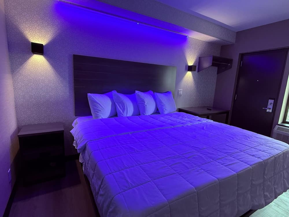 The Vine Hotel Bronx