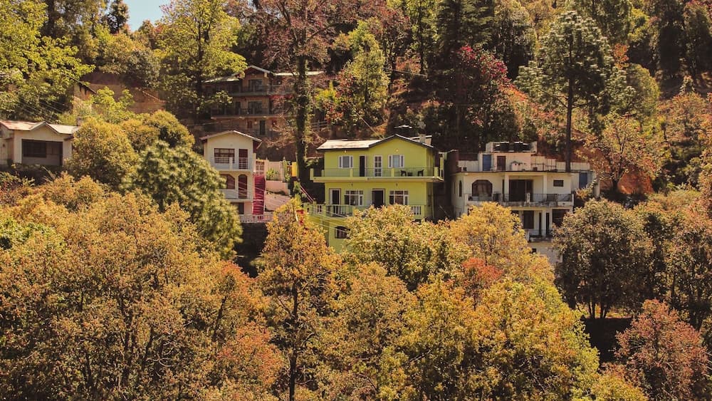 The Himalayan Living - Whispering Oaks