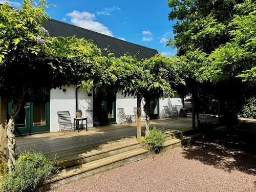 Wisteria Österlen