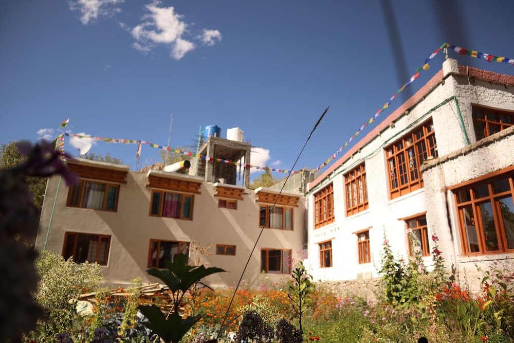 Tsetanguesthouse