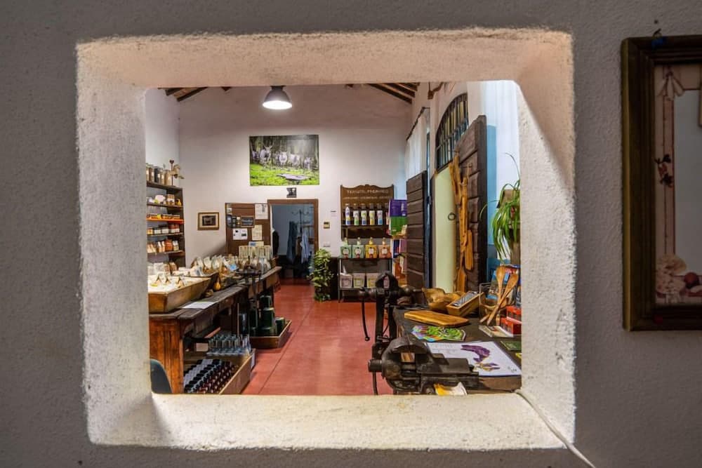 B&B Tenuta Bio di Paganico - Wine&Food