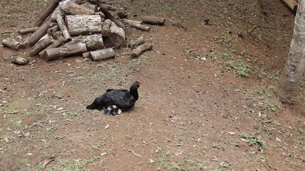 Konaklama yerinden manzara