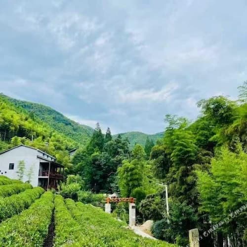 Moganshan Siyan Tea Garden Homestay