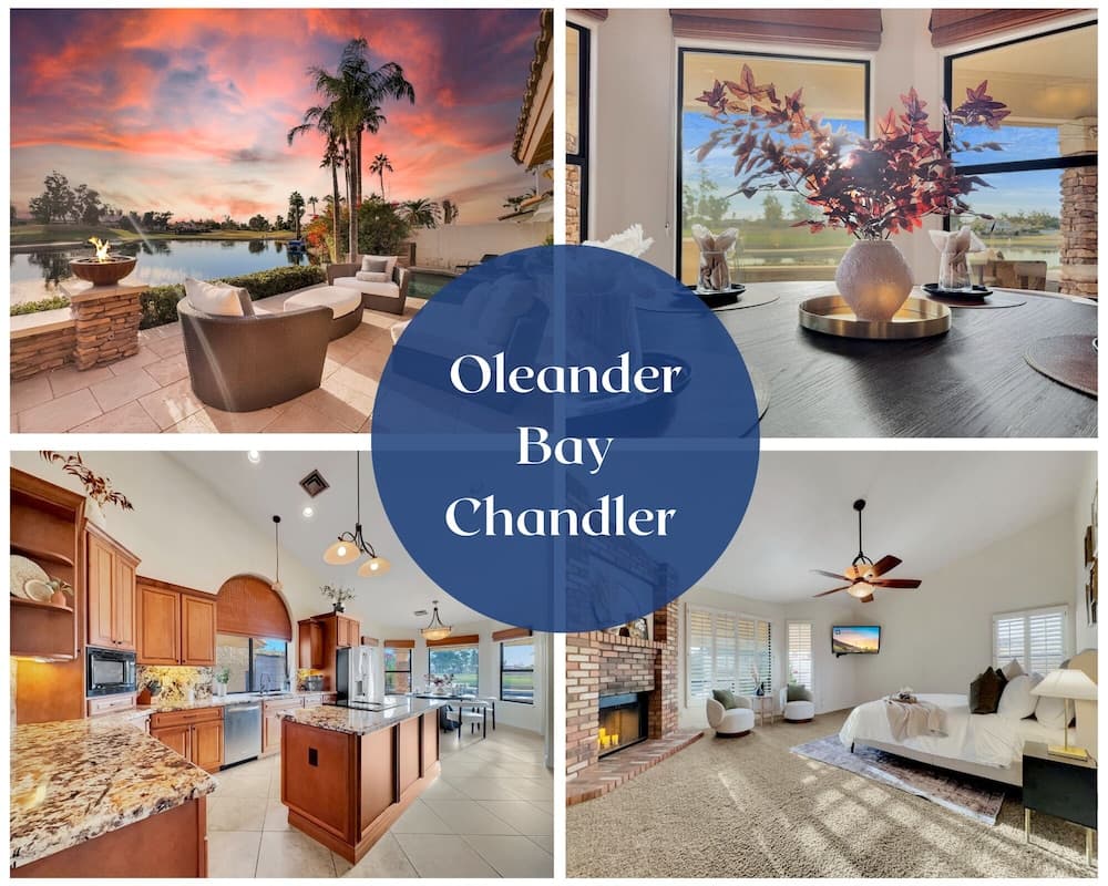 Oleander Chandler/ocotillo