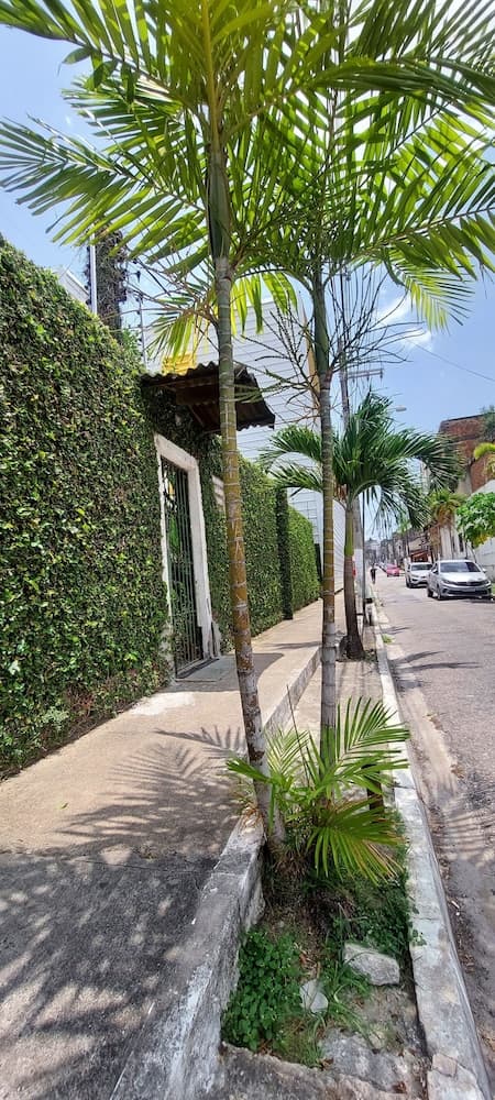 Ecopousada Miriti