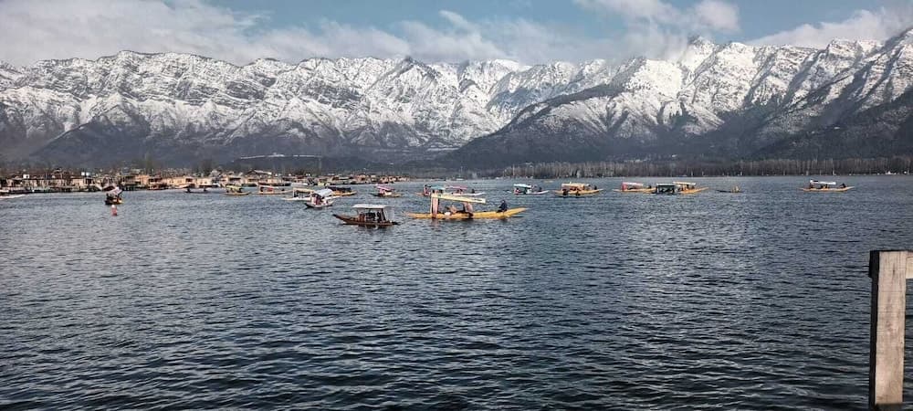 New Alzira Heritage Group of Houseboats