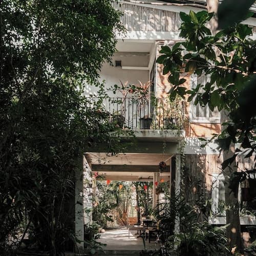 Treetop Bungalows