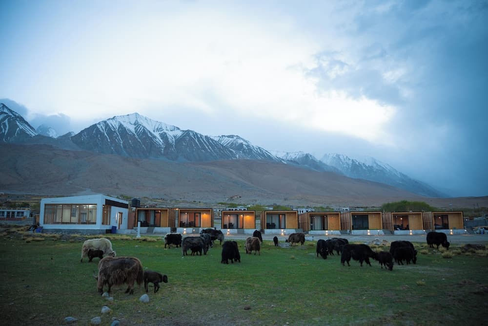 Saser Scenic Pangong
