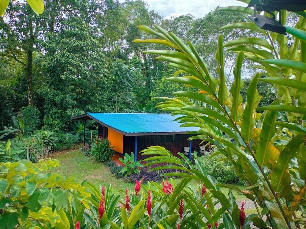 Odadan manzara