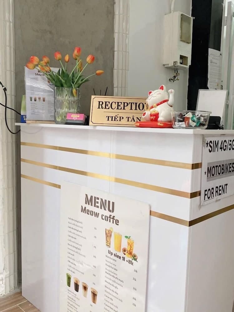 MEOW HOTEL & CAFÉ 2