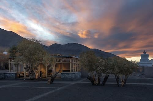 The Postcard in The Himalayan Willows