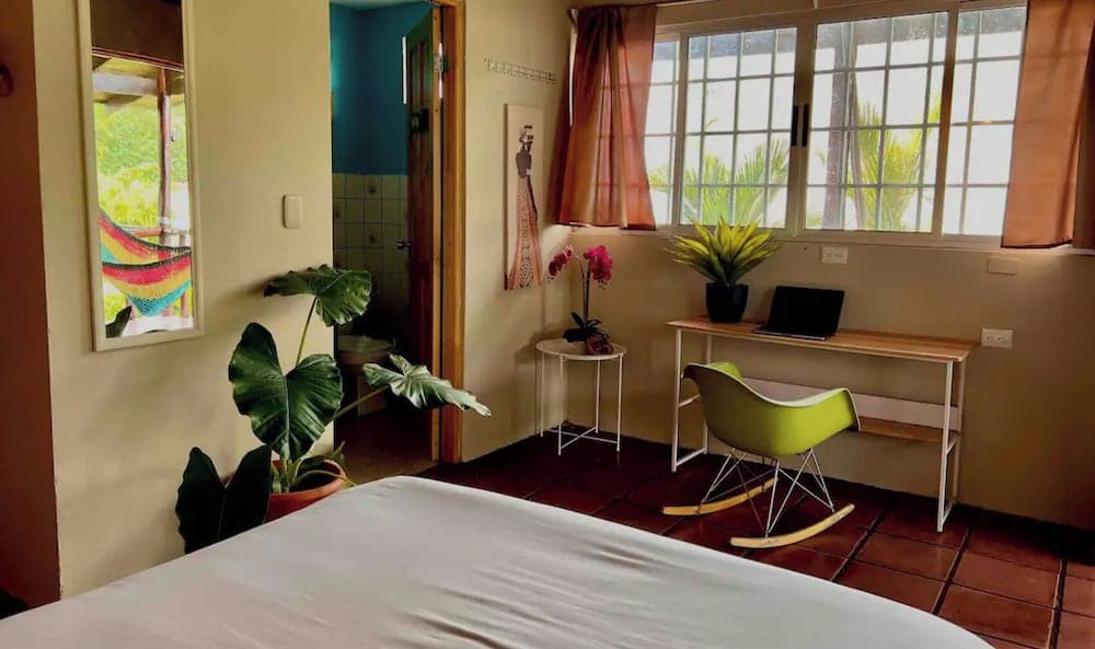 Mi Zaru Sea View Animal Paradise