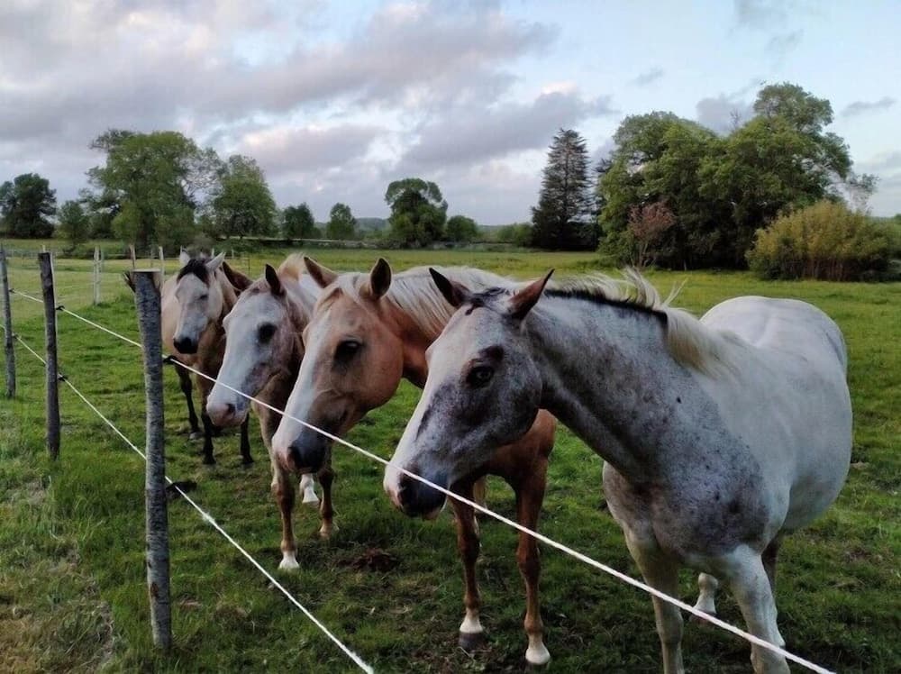 Manoir de l'Aisnerie
