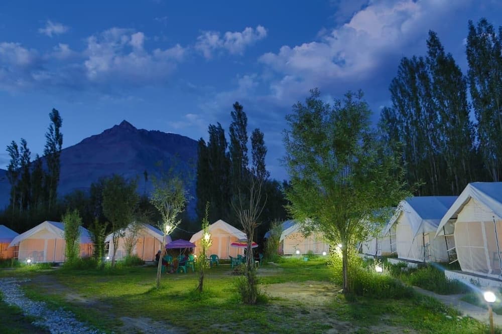 Camp Norling Stars - Koyul