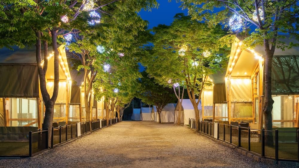 Jat Hyanggi Pureun Forest Campground