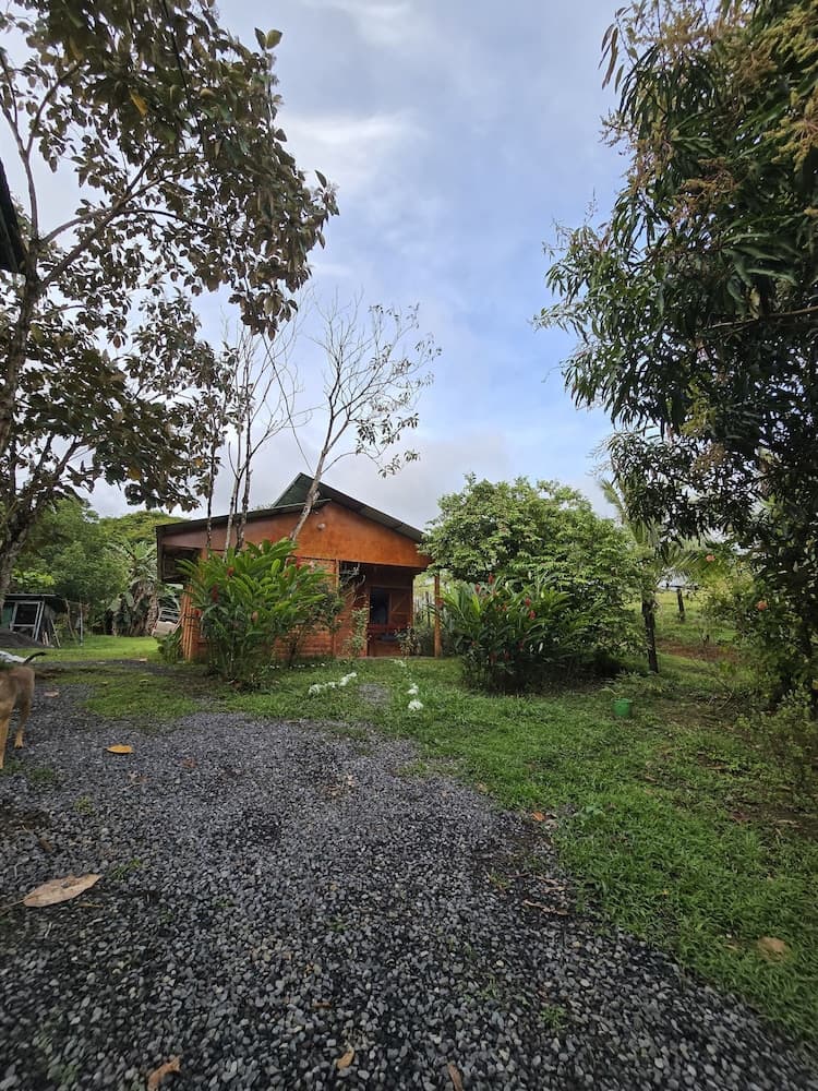 Boca Tapada Rainforest