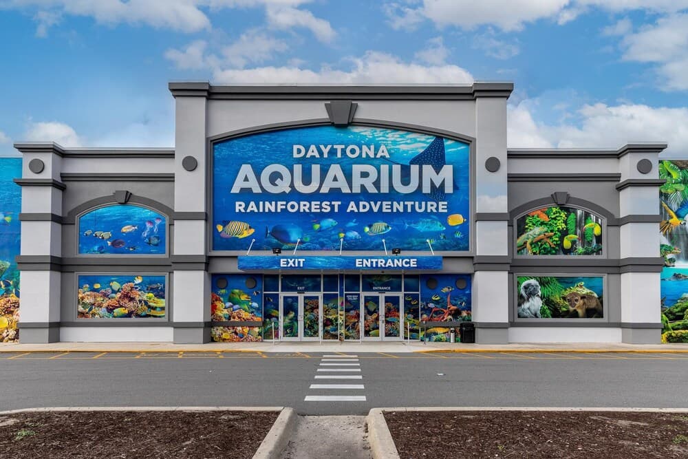 Ocean Terrace Club 601