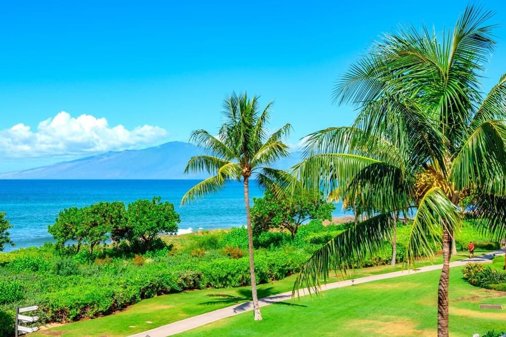 KBM Resorts - Free CAR - Honua Kai Hokulani - Oceanfront - 6-bedroom Multi Unit Listing, Private BBQ on Balcony - Hkh-201, Hkh-236, Hkh-238