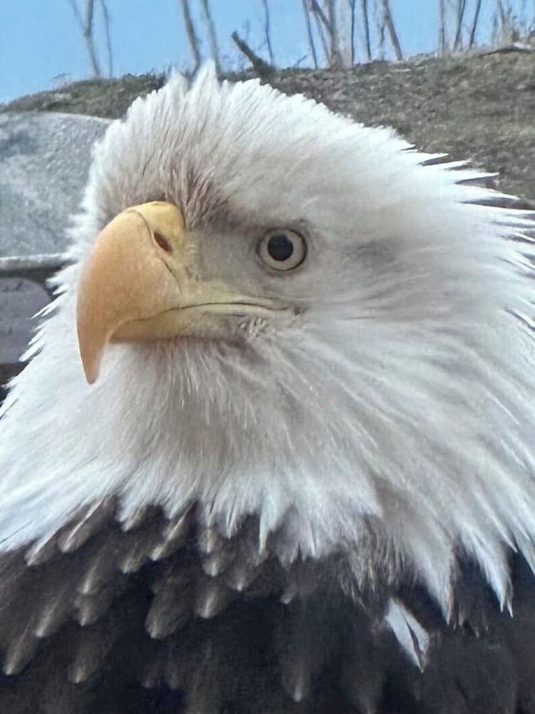 Paradise Suites Eagles Nest Apt C