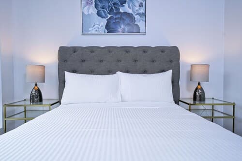 The Reve Suite