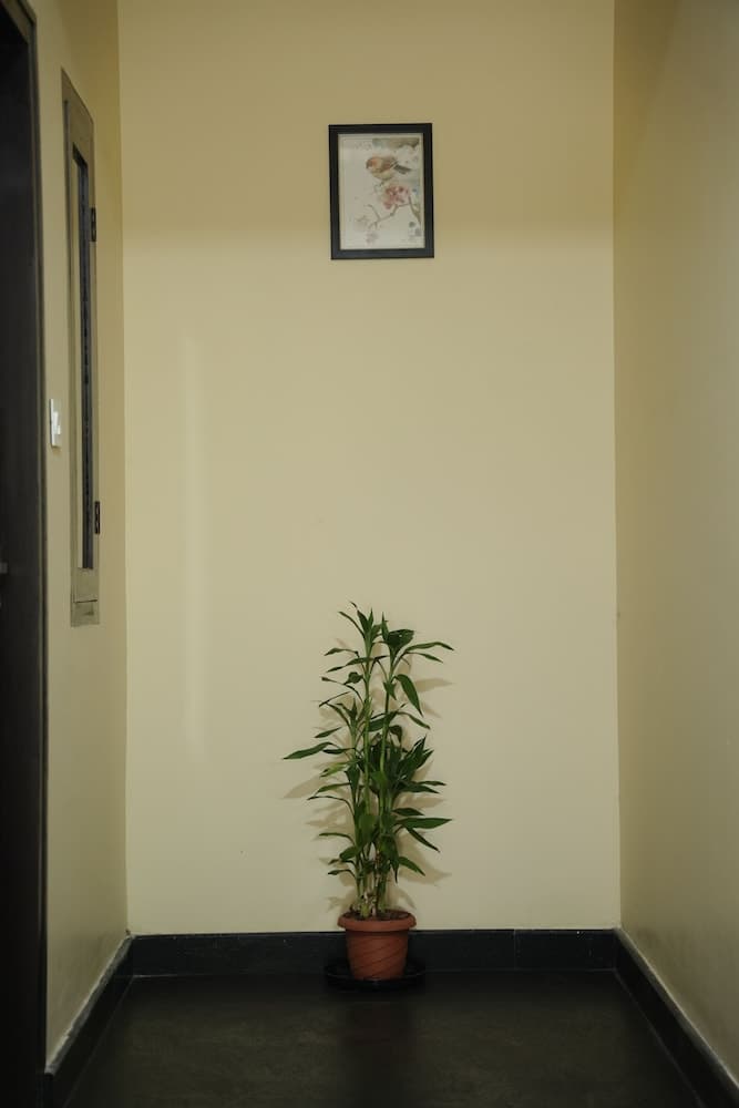Goldsuite
