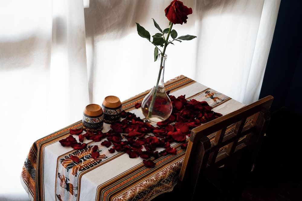 Hotel El Mirador de Santa Ana