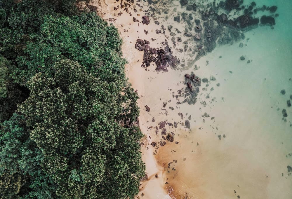 Kactus Your Island Sanctuary In Cambodia