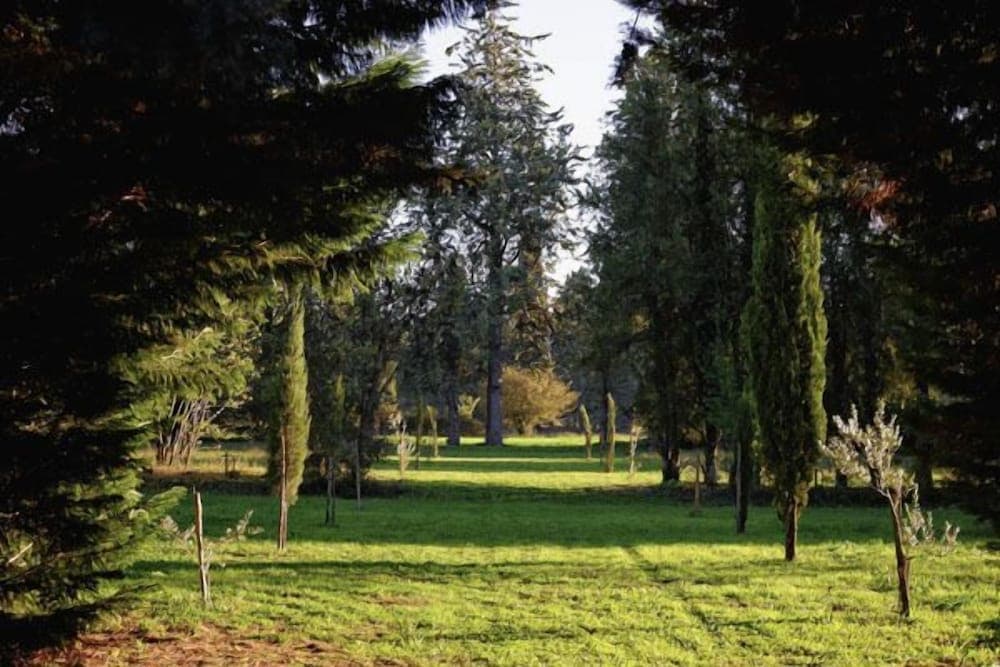 Konaklama yeri alanı