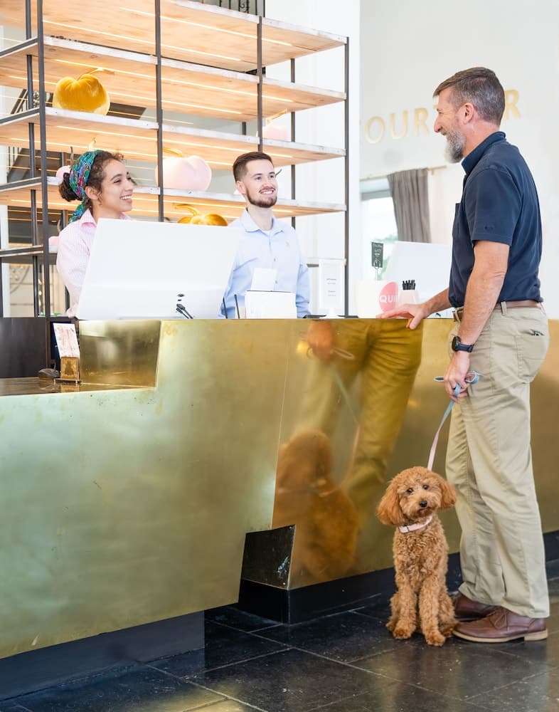 Giriş/çıkış büfesi