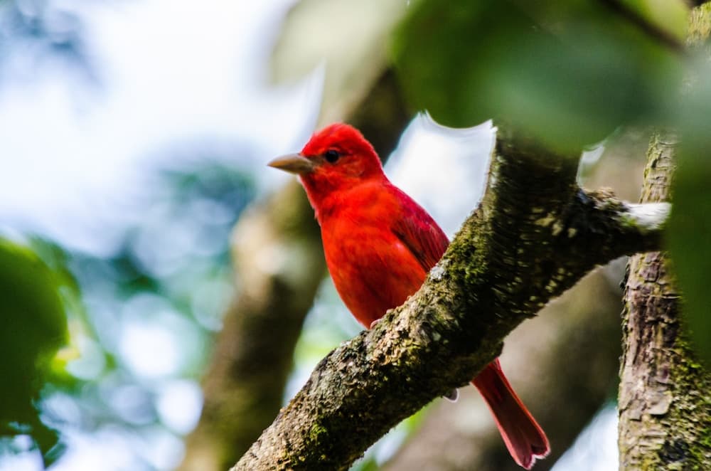 Konaklama yeri alanı