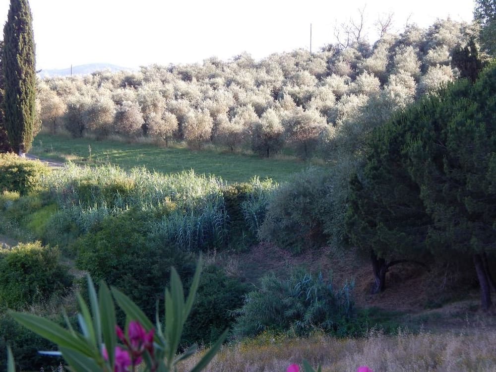 Konaklama yeri alanı