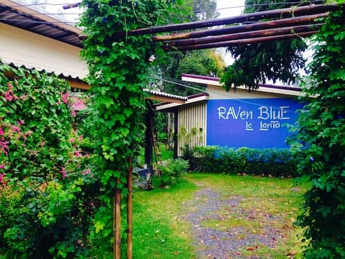 Raven Blue
