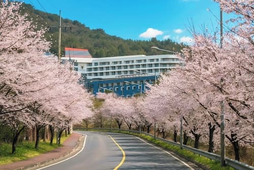 Tongyeong Dongwon Resort & Youth Hostel