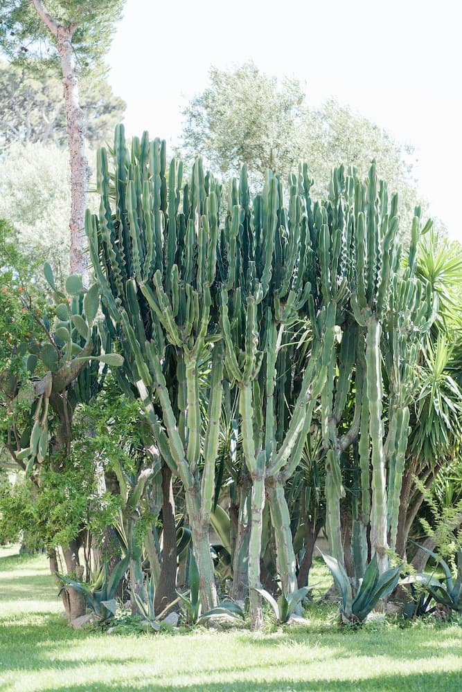 Konaklama yeri alanı