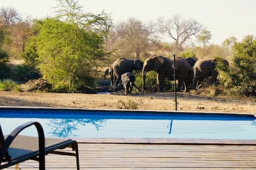 Masodini Private Game Lodge