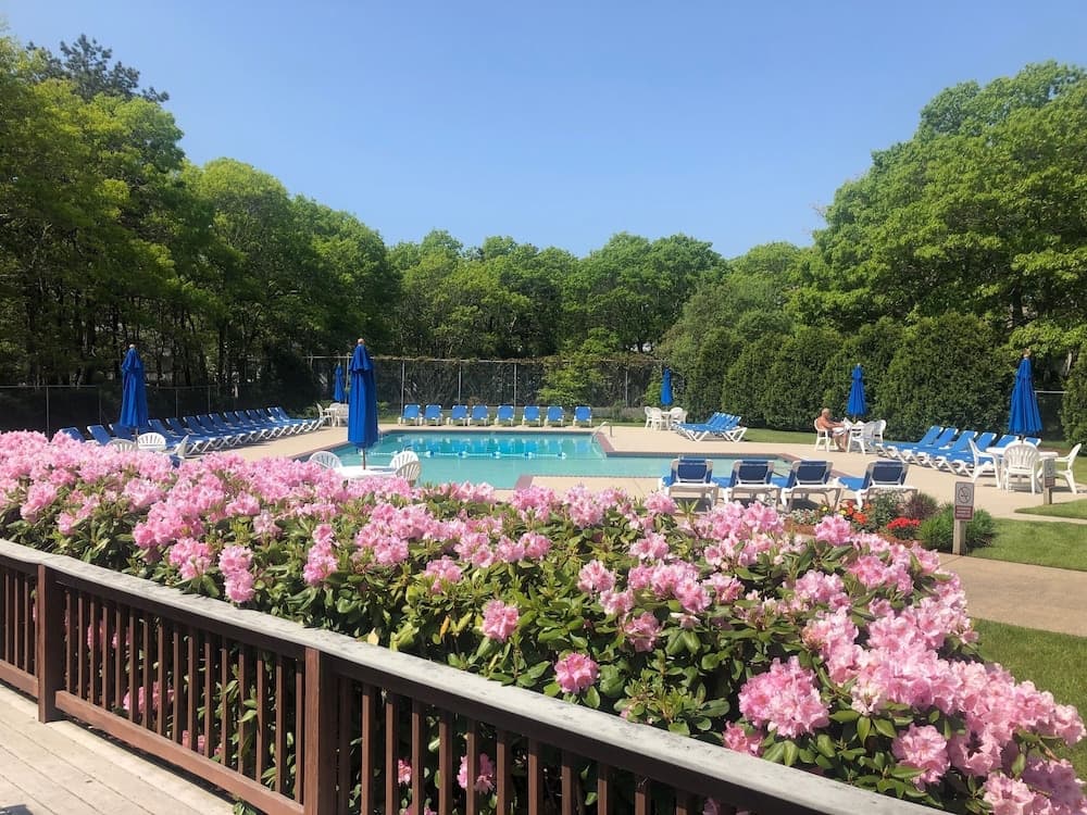 Sea Mist Resort