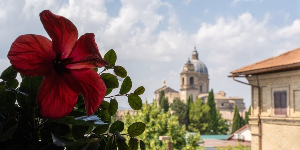 Hotel Mom Assisi