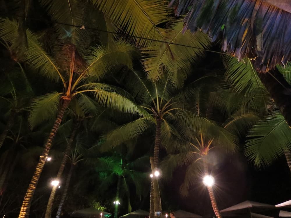 Konaklama yeri alanı