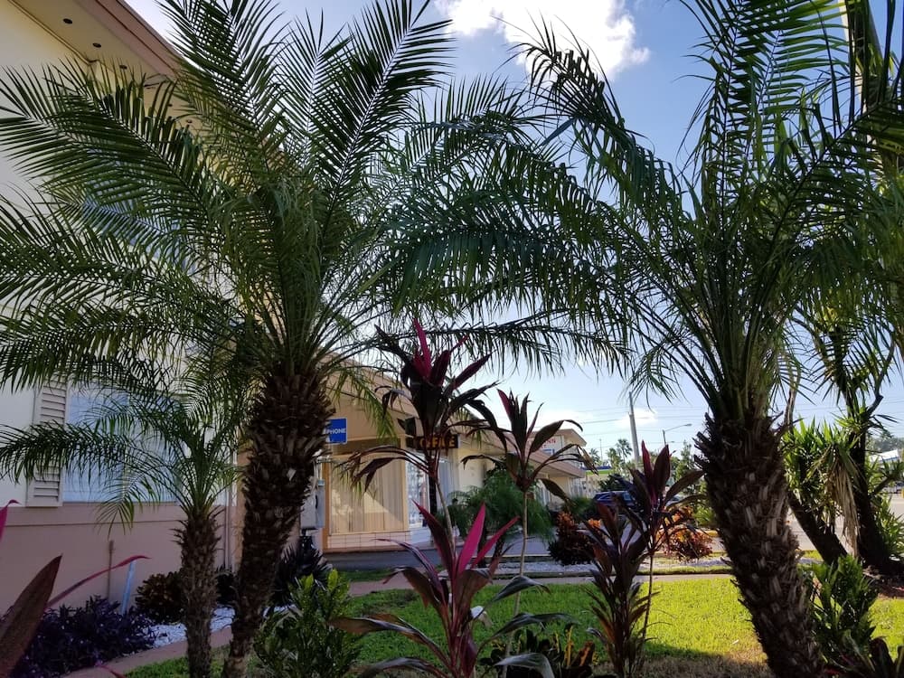 Parkway Inn Airport Motel Miami