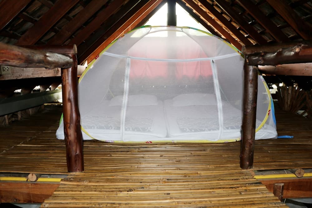 UP2U Guesthouse - Hostel