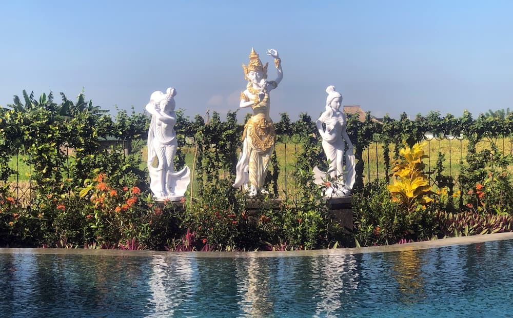 Devi's Place