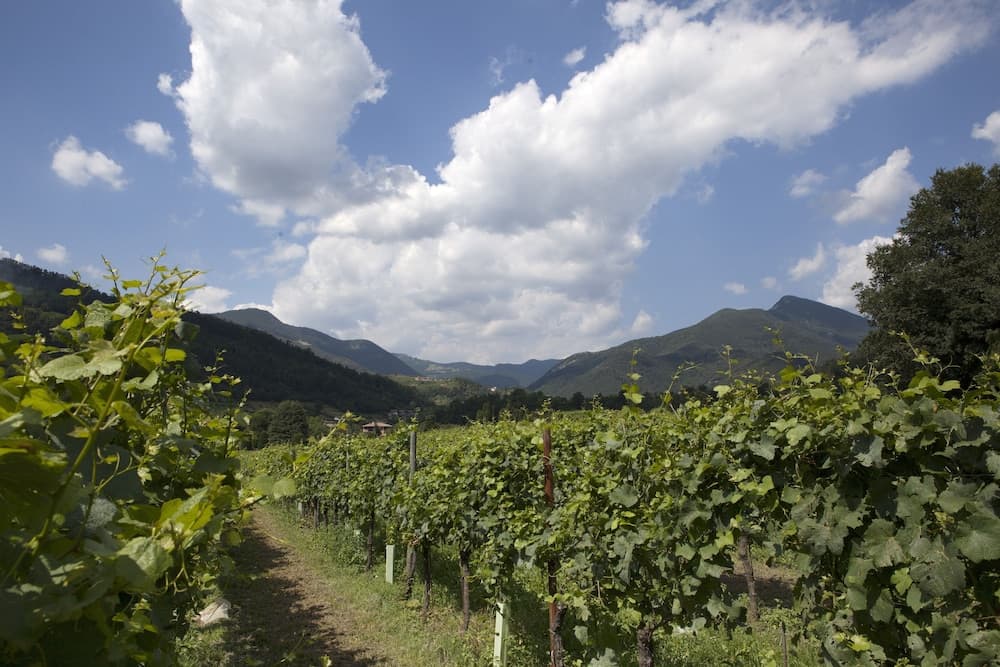 Konaklama yerinden manzara