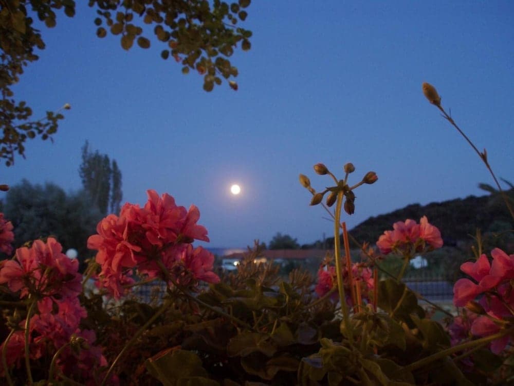 Konaklama yeri alanı