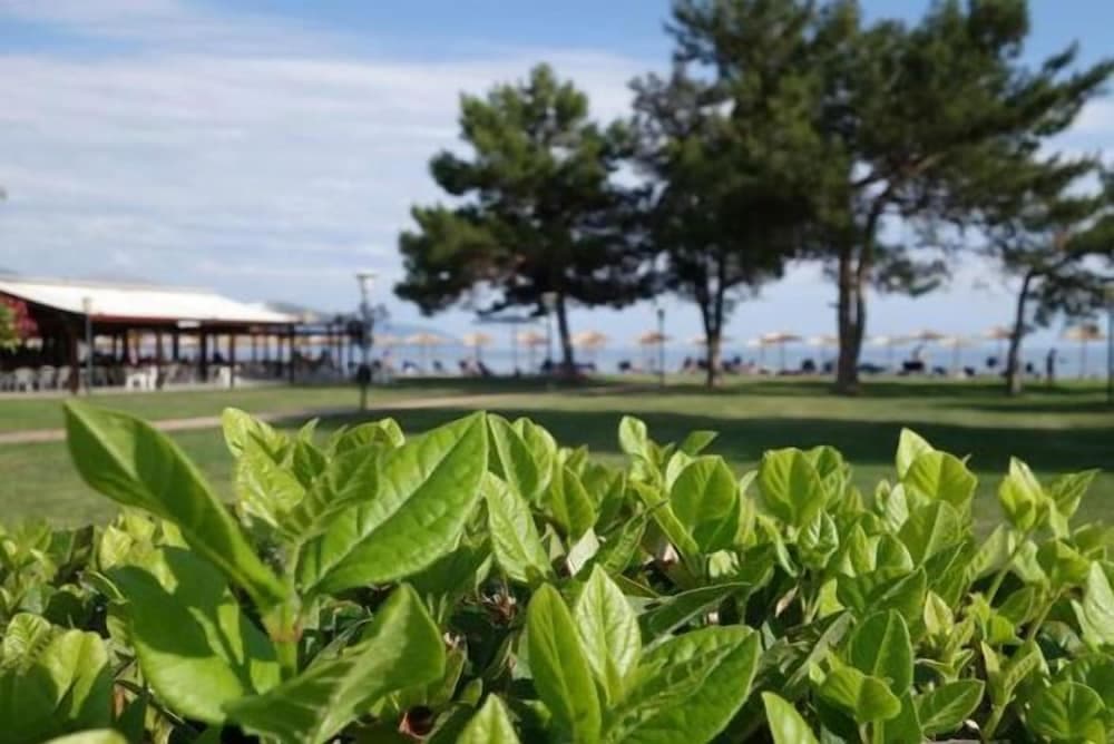 Konaklama yeri alanı