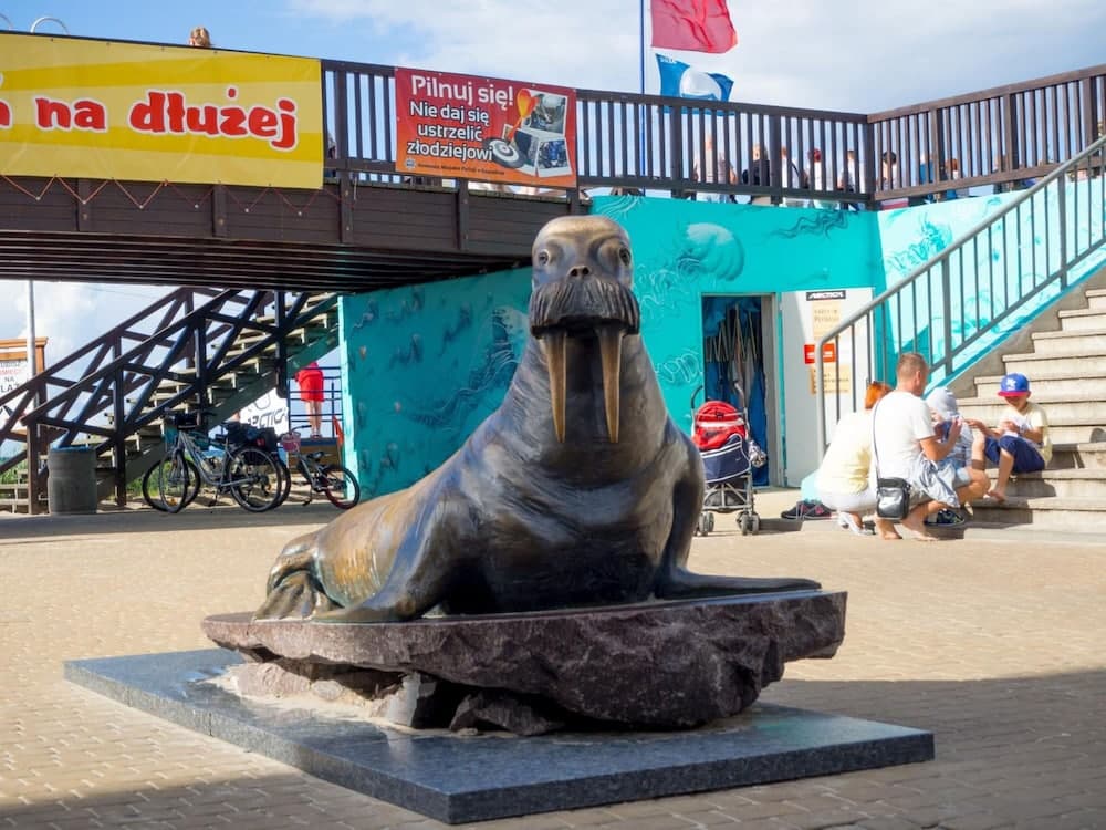 Konaklama yeri alanı