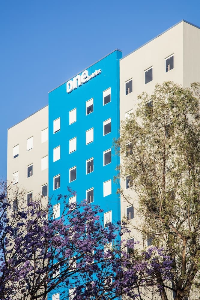 One Guadalajara Expo