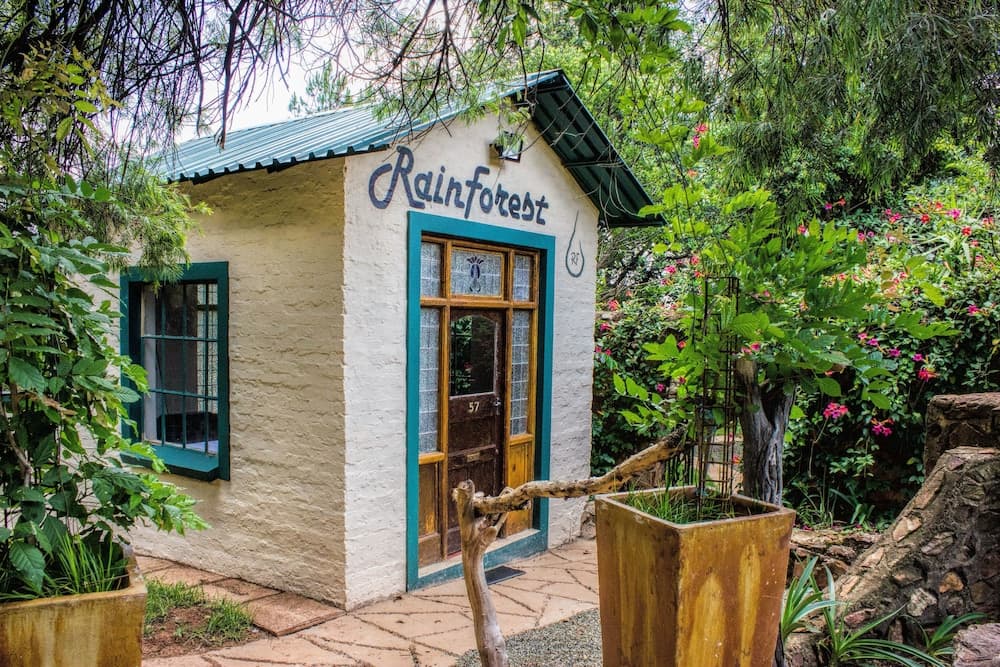 Rainforest Boutique Camp