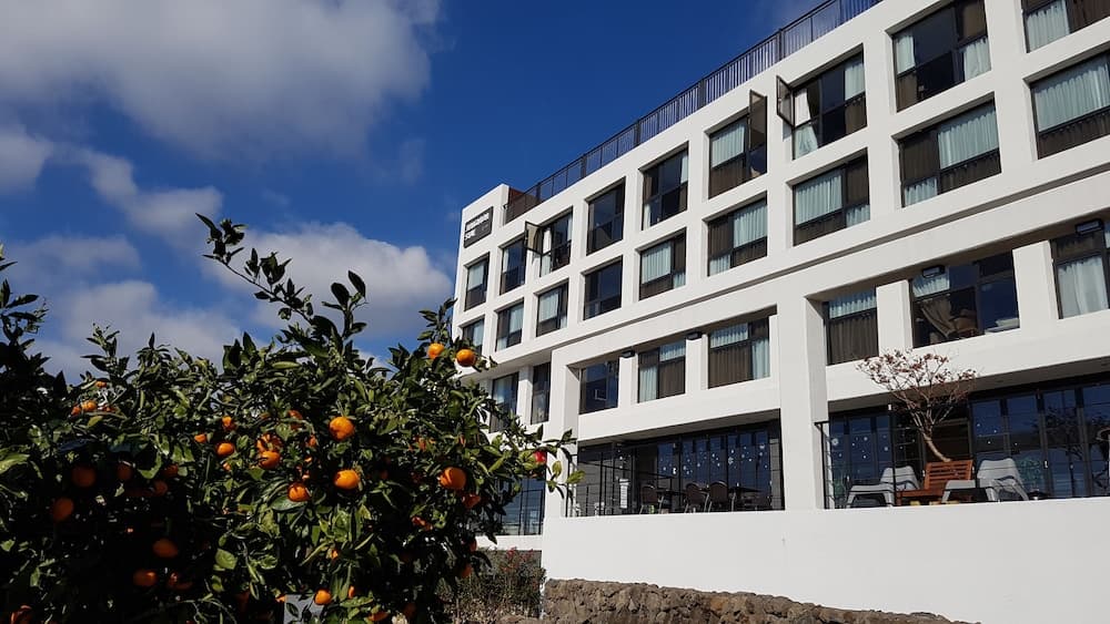 Hotel stay interview Jeju